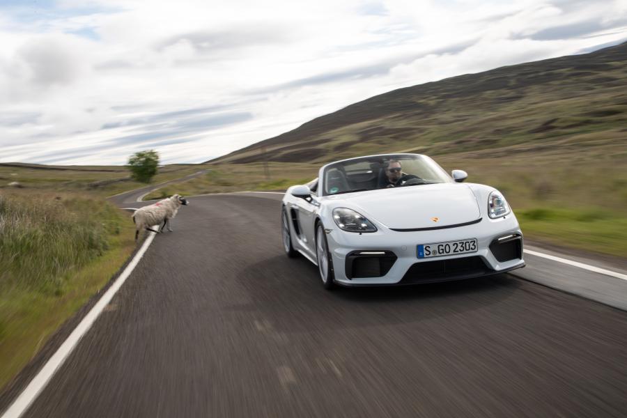  Porsche 718 Spyder (982) 2019 года  (WW) (фото 85 из 318)